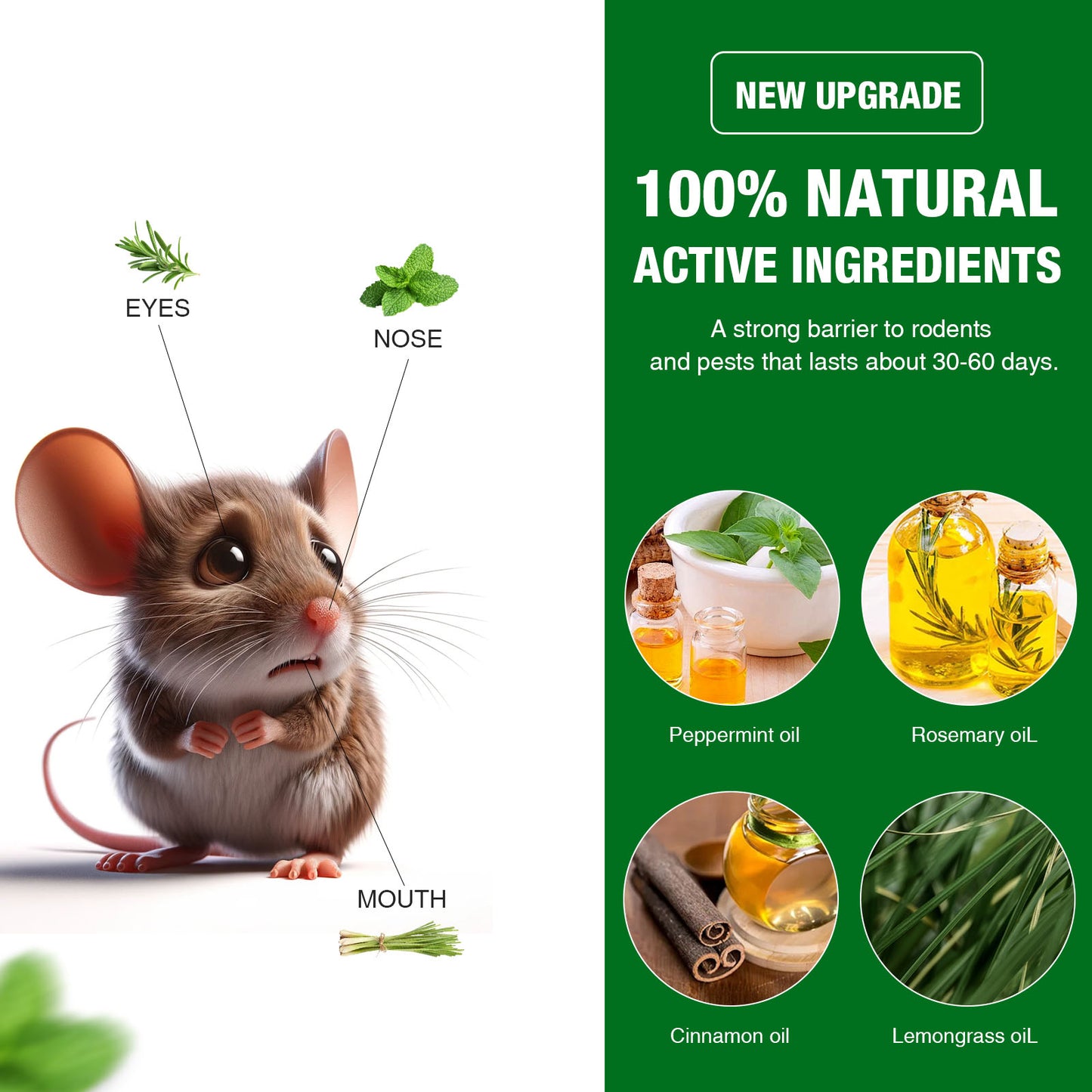 Rodent Repellent - Effective Pest Control for Mice and Rats